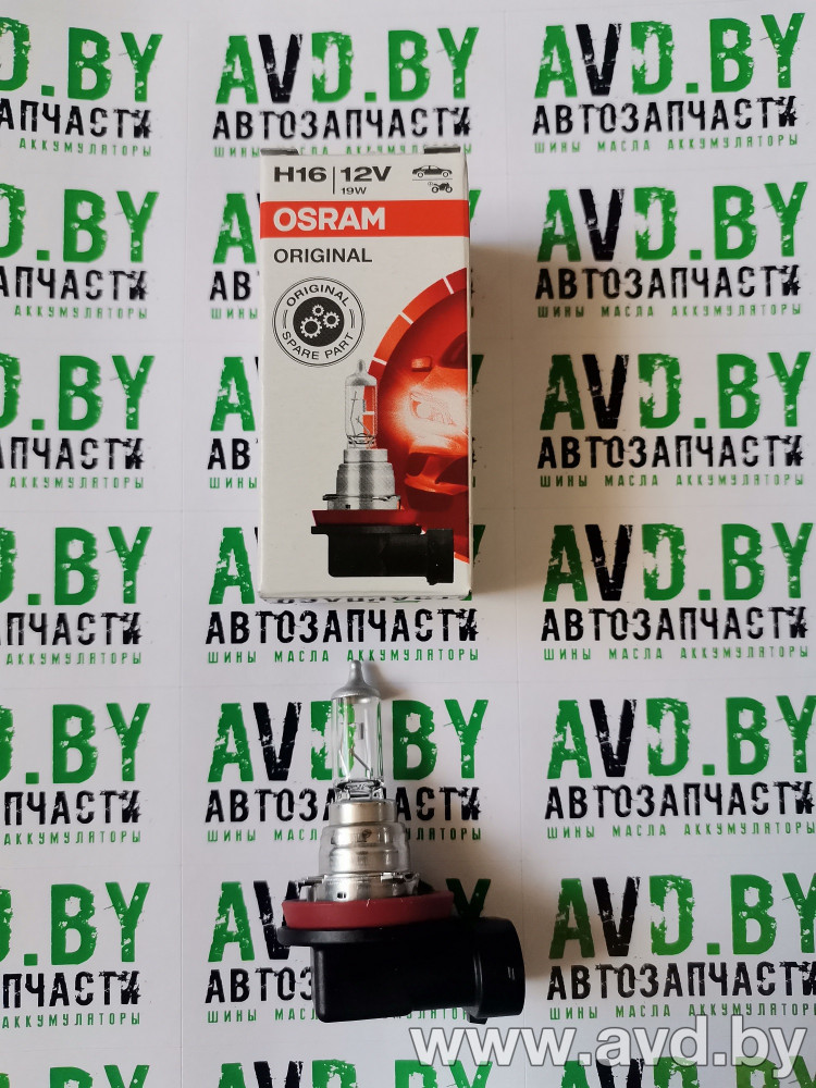 Купить Лампы автомобильные Osram H16 1шт (64219L+)  в Минске.