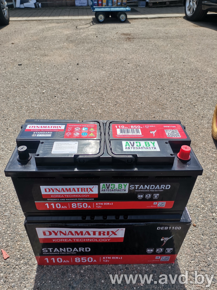 Купить Автомобильные аккумуляторы Dynamatrix 850A (110А·ч) R (DEB1100)  в Минске.
