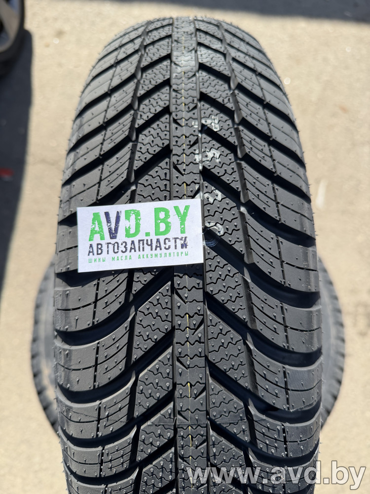 Купить Шины Nexen N’Blue 4Seasons 185/70R14 88T  в Минске.