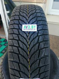 Купить Шины Nexen Winguard Sport 2 205/45R17 88V  в Минске.