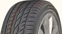 Купить Шины Lanvigator Snowpower 205/50R17 93V  в Минске.