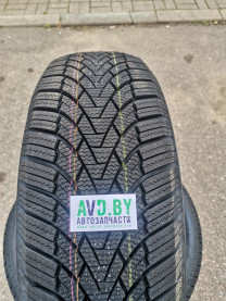 Купить Шины Arivo Winmaster ProX ARW3 195/65R15 95T  в Минске.