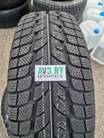 Купить Шины Lanvigator Catchsnow 235/65R16C 115/113R  в Минске.
