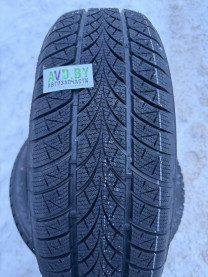 Купить Шины Triangle WinterX TW401 195/55R20 95H  в Минске.
